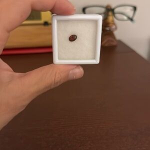 Garnet stone in case